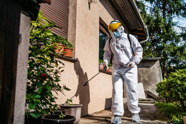 Best Pest Prevention Services  in San Marino, CA