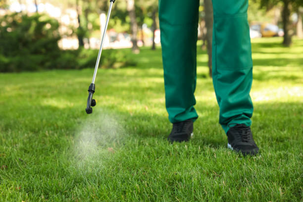 Trusted San Marino, CA Pest Control Experts
