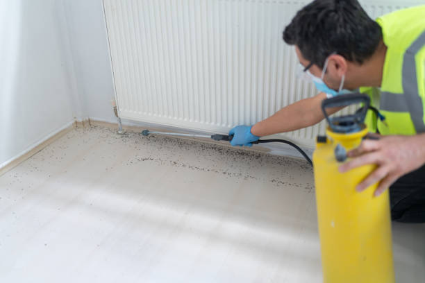 Best Pest Removal Services  in San Marino, CA