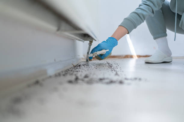 Best Commercial Pest Control Services  in San Marino, CA